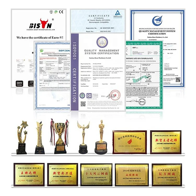 Bison 110v 220v 380v reliable quality gasoline electric generator lpg gas generator 2kw 3kw 5kw 6kw