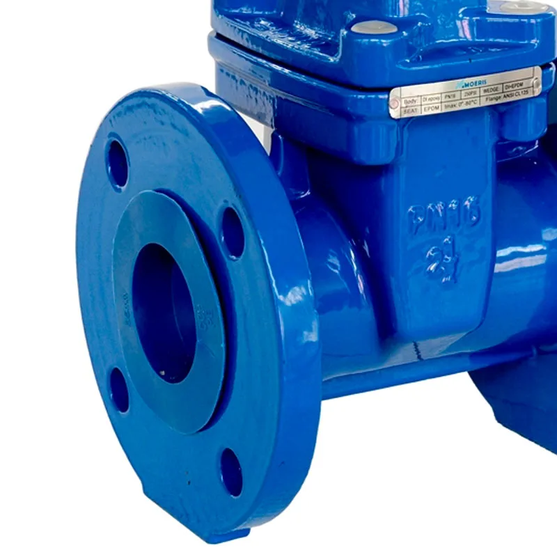 Ductile Iron Flanged NRS Resilient Wedge Gate Valve