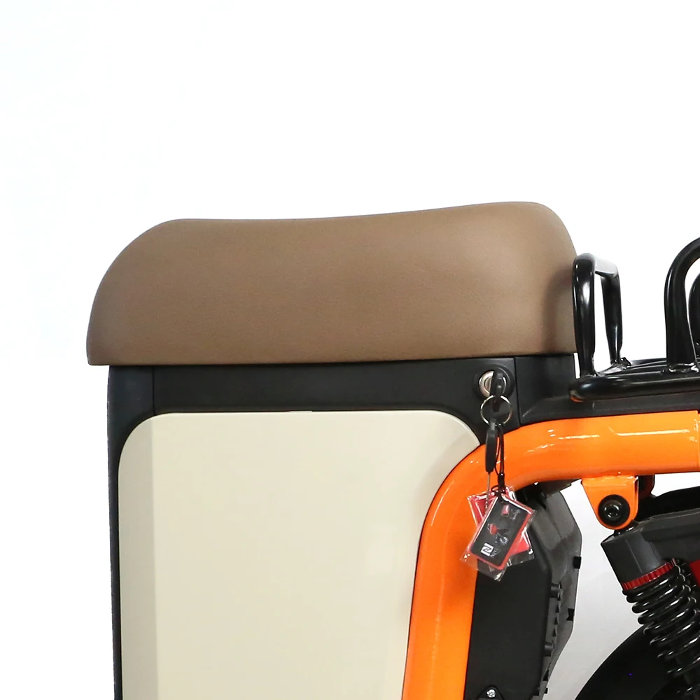 Wholesale Price 1000W Cargo Electric Bicycle Fast E-Bike Delivery Bike for Family Use
