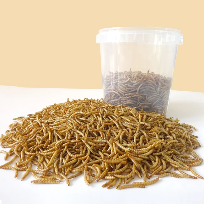 
100% Natural Pure Pet Food 400g Without Added Dried Mealworms For Wild Birds 