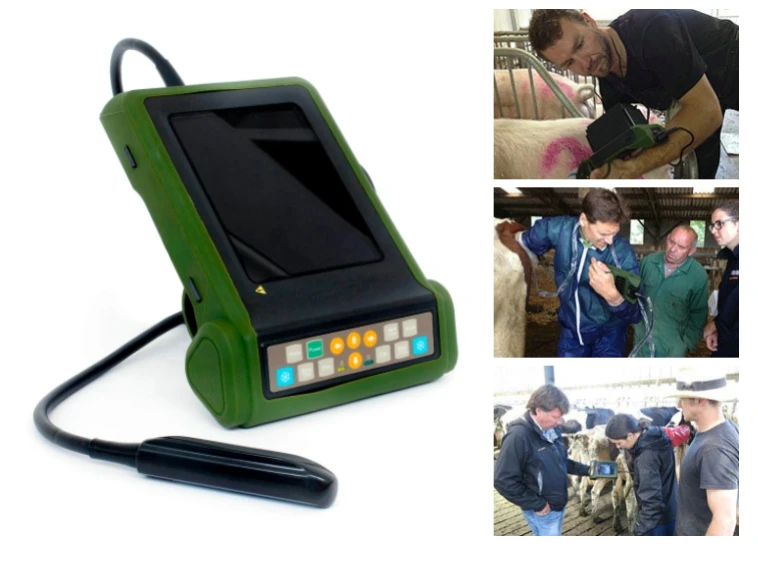 Full Digital B Mode System Vet Ultrasonic Scan Diagnostic Instrument RKU10 Animal Veterinary Ultrasound Machine