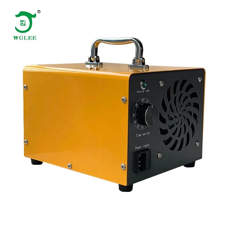 Factory direct 10g  best quality portable ozone generator ozone disinfection machine for home hotel office room
