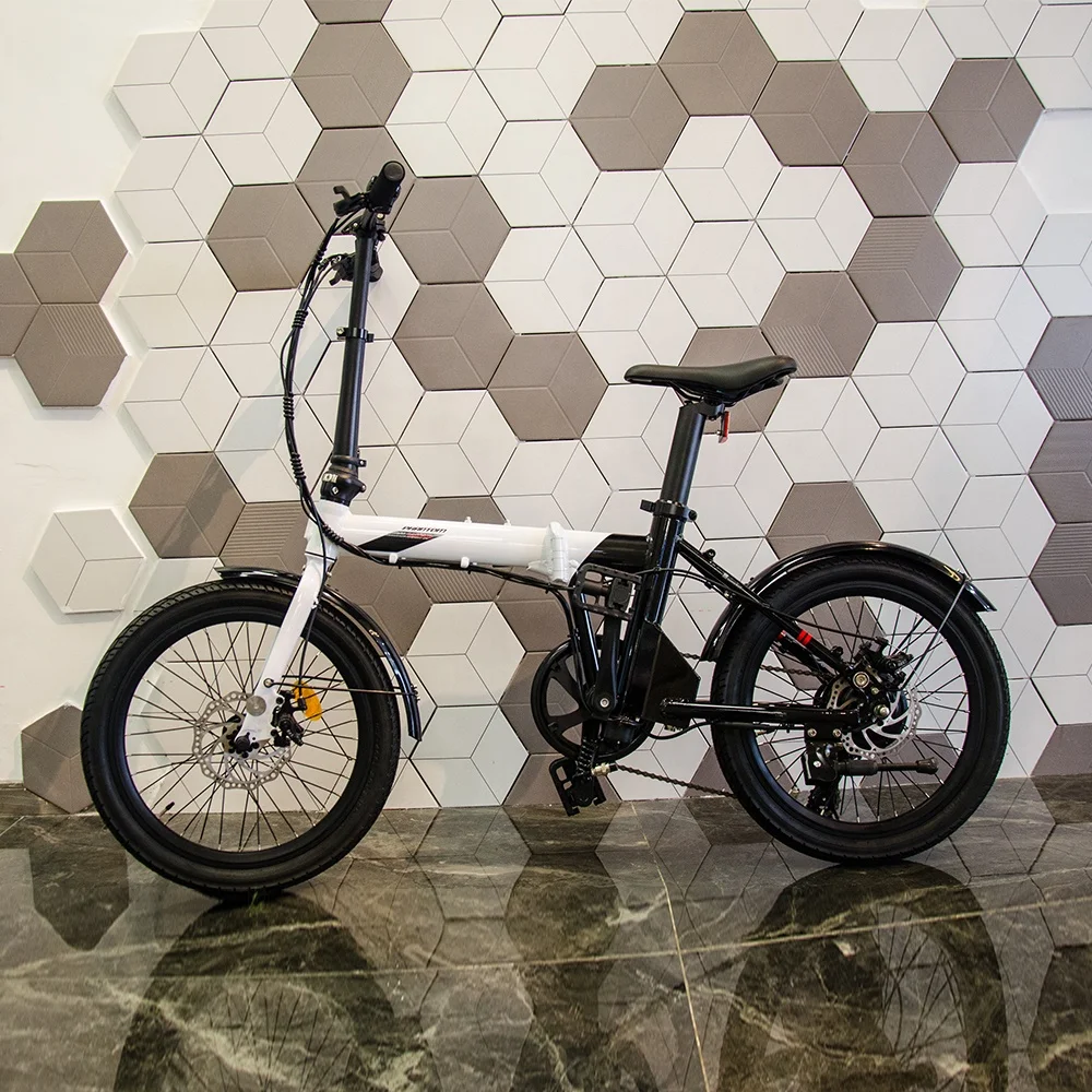 Hoya e-bike 250w 36v  china  electric bike 20 inch black and white  foldable bike spoke wheel  pedelec