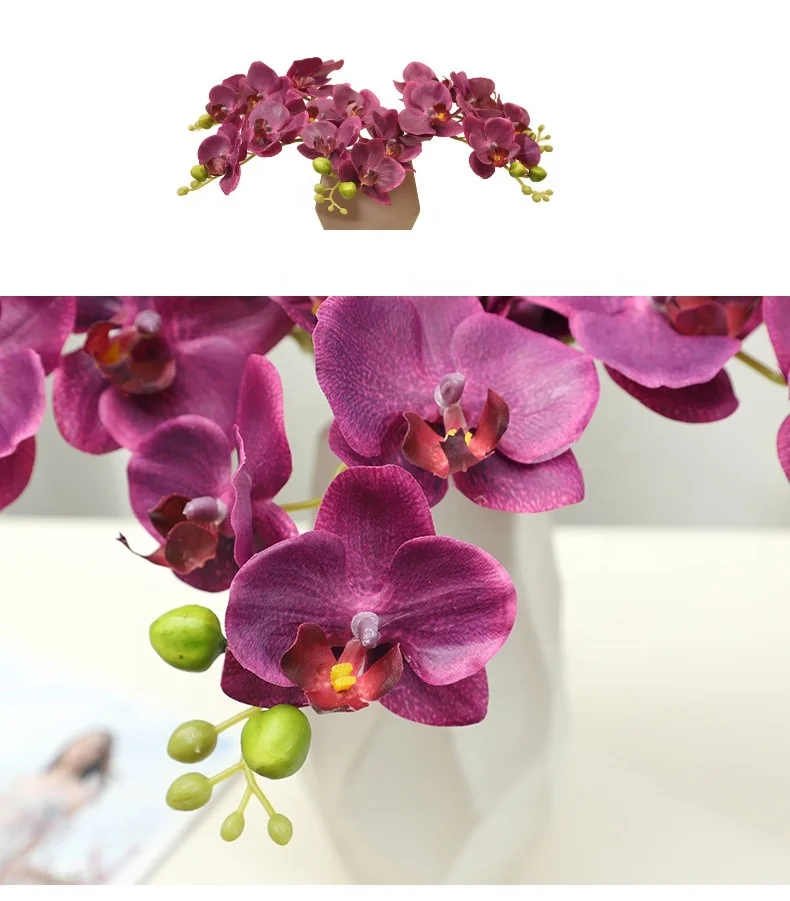 Manufacturers for home decoration living room decorations wedding celebrations Wholesale of 5 Phalaenopsis orchids