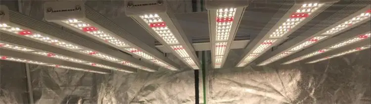 Full Spectrum LED полный спектр светодиодов садоводческий светодиодный индикатор с регулируемой яркостью 400W 640W 800W 1000W лаборатории тестирования электроприборов США (ETL CETL Горячее предложение для