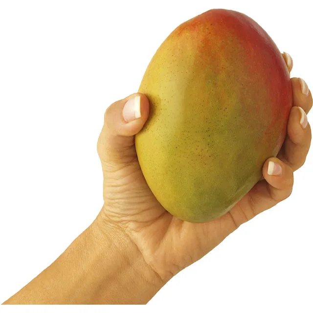 
Frozen halves Yellow Mango Sweet Bulk Style 