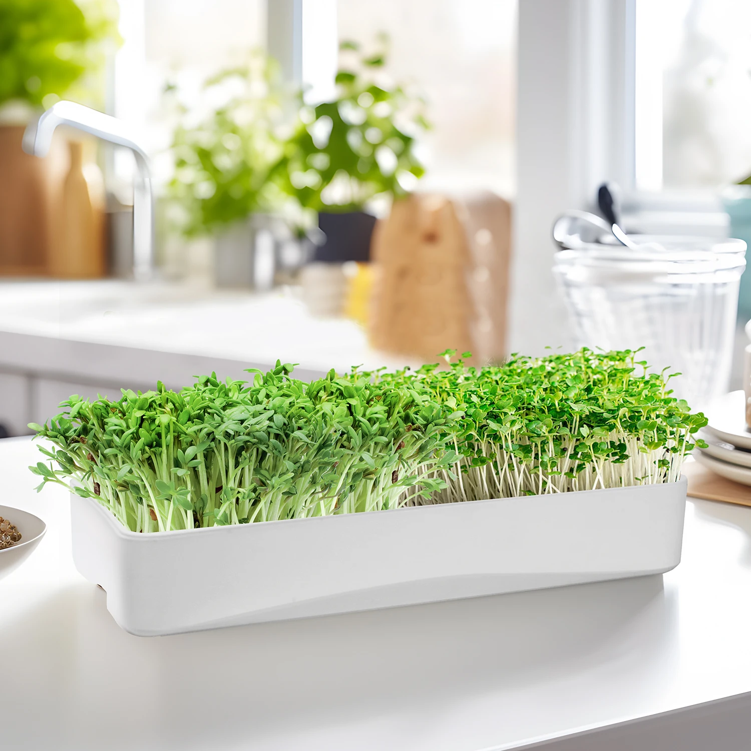 Microgreen seeds sprouting kit grow smart garden 3 herb garden for window planter box Soilless germination planting paper