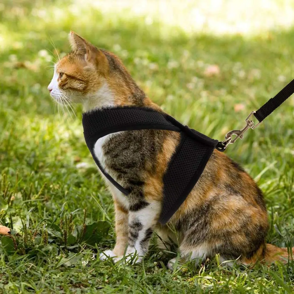 Wholesale Mesh Adjustable Neck Escape Proof Walking X-Figure Jacket Vest Pet Cat Harness and Leash Set