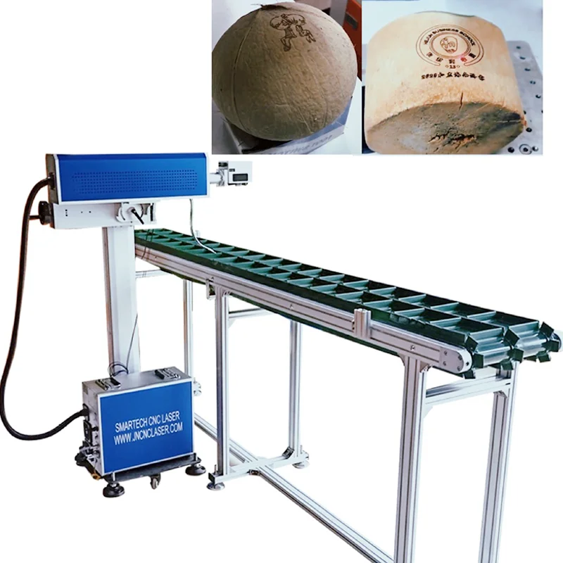 Best Sale CO2 Laser Engraving System Laser Engraver for Coconut visual laser marker