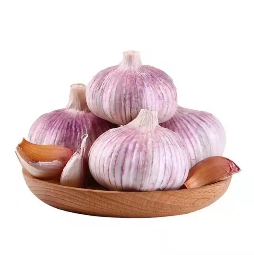 Price special fresh garlic.best quality garlic.red white garlic