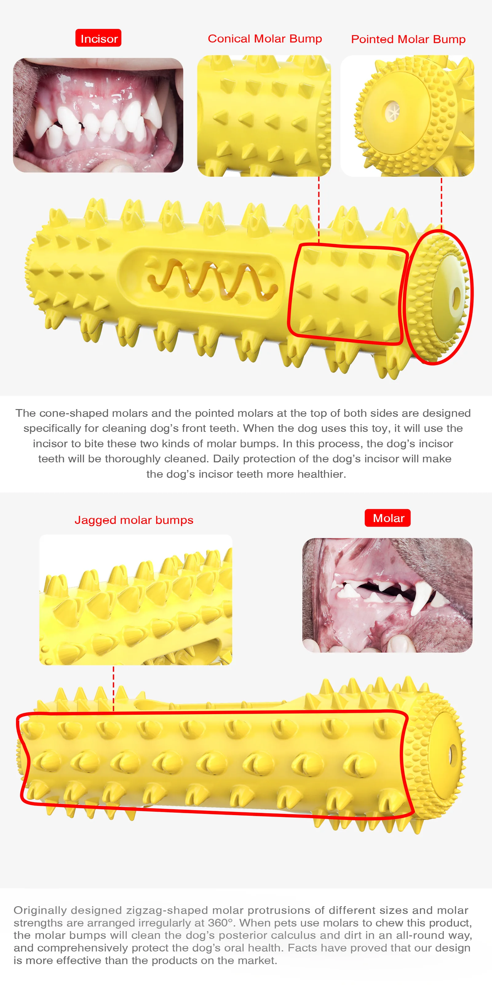 Interactive Toys Cute Funny Dental Care Dog Toothbrush Chew Toy,world voyager-12, dog toothbrush toy, dog toothbrush chew toy, chew toothbrush dog toys