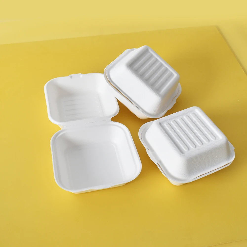 Bagasse Takeaway Disposable Clamshell Food Boxes Hot Box for Food Storage