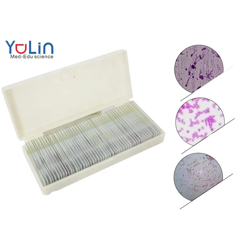 25 pcs Teaching and research biological insect animal plant zoology botany microbiology prepared microscope slides mixed set