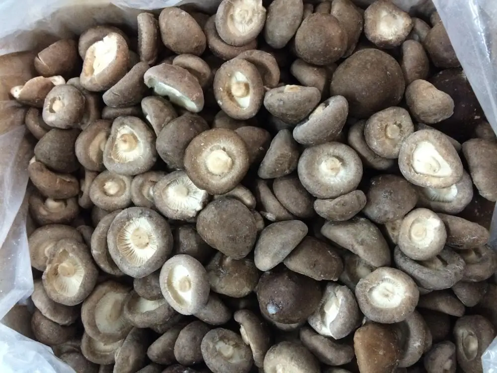 
Cheap IQF frozen shiitake 