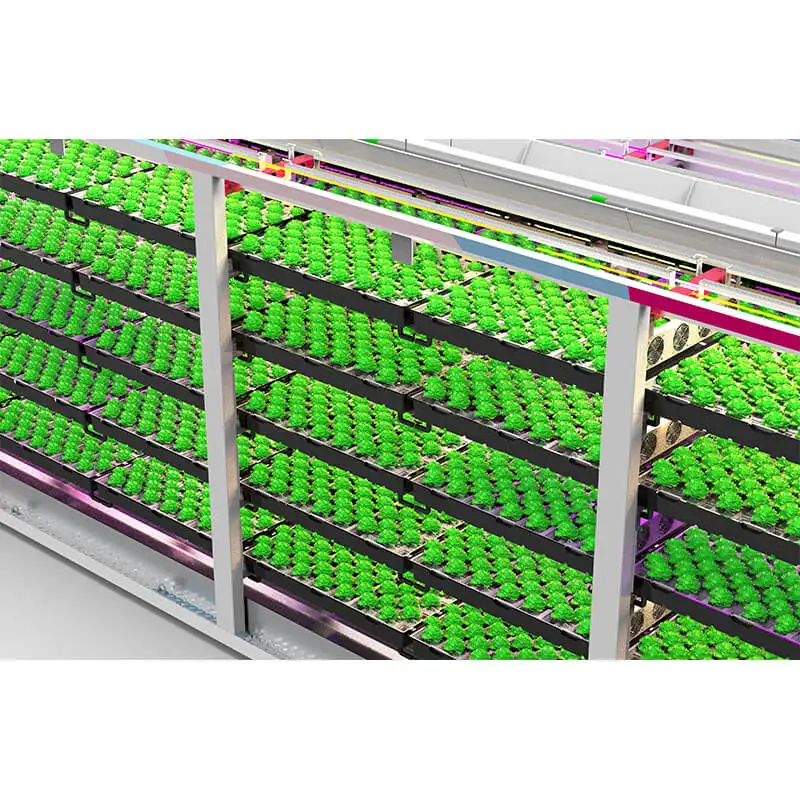 Aeroponics&Hydroponics cultivation and Container strawberry planting Automatic Cliamte control CF-VAX