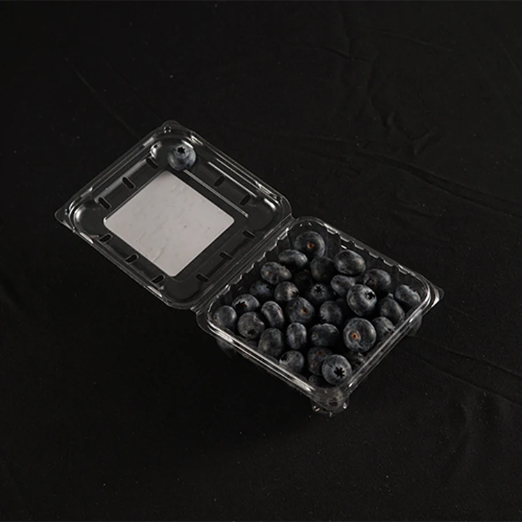Custom Transparent PET Clamshell Blister Fruit Packing Box Fresh Blueberry Cherry Clear Plastic Packaging Box