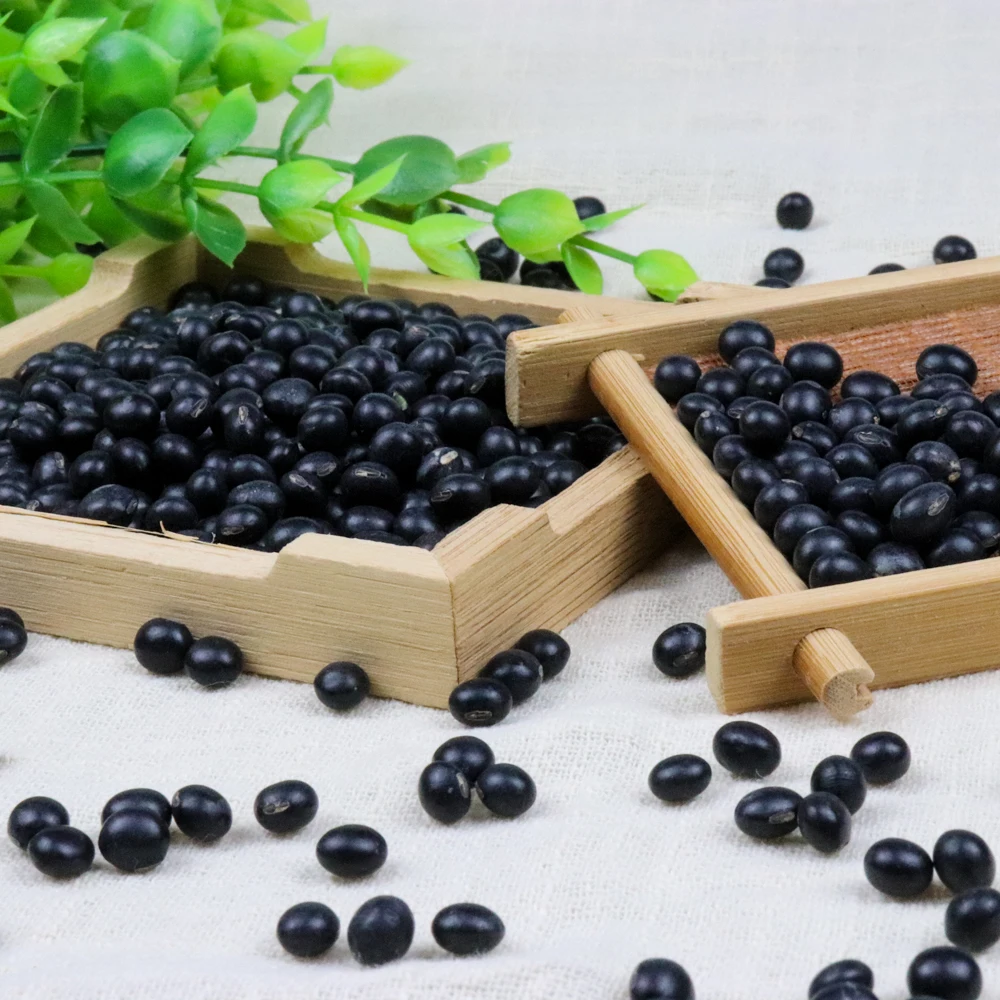 Factory Supply Attractive Price Whole Grains Healthy Black Beans