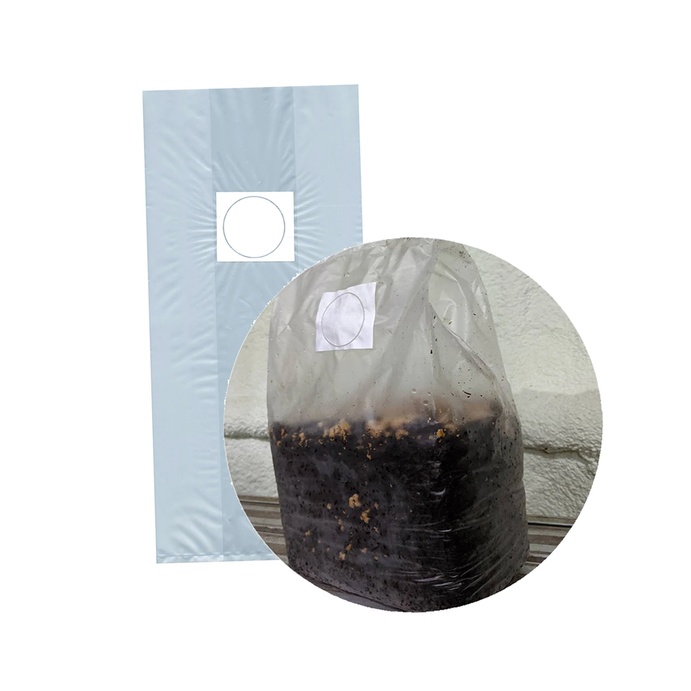 
Shiitake cultivation bag price of mushroom spawn seeds with high quality 