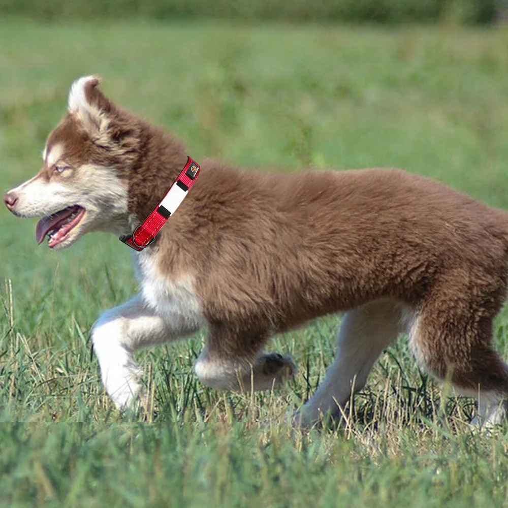 2023 New Design Personalized Dog Collar Removable Nameplate Metal Iron Sheet Reflective Nylon Dog Collar