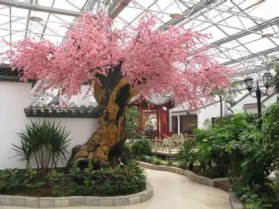 Venlo Glass Multi span Agricultural Greenhouse Tempered Glass Greenhouse Hydroponic Growing System Greenhouse