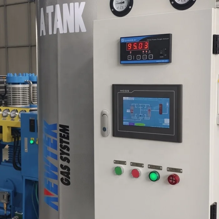 NEWTEK Brand Advanced gas generators 15Nm3/hr 93% and 99% skid psa oxygen plant oxygen plant for sale