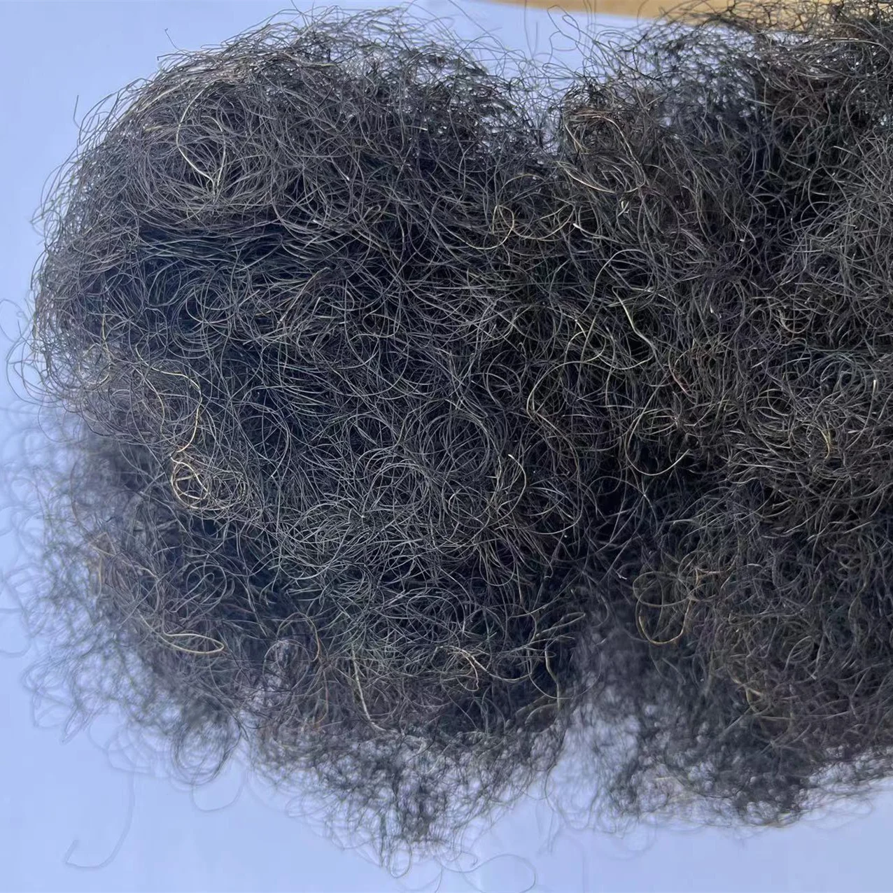 Factory wholesale Washed good quality clean curly horse hair for mattress Mongolia Horse Tail Hairs