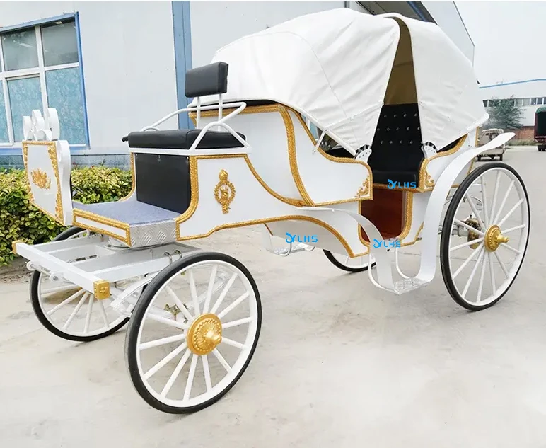 Special transportation for sightseeing electric tourist horse buggy carriage royal horse carriage manufacturer