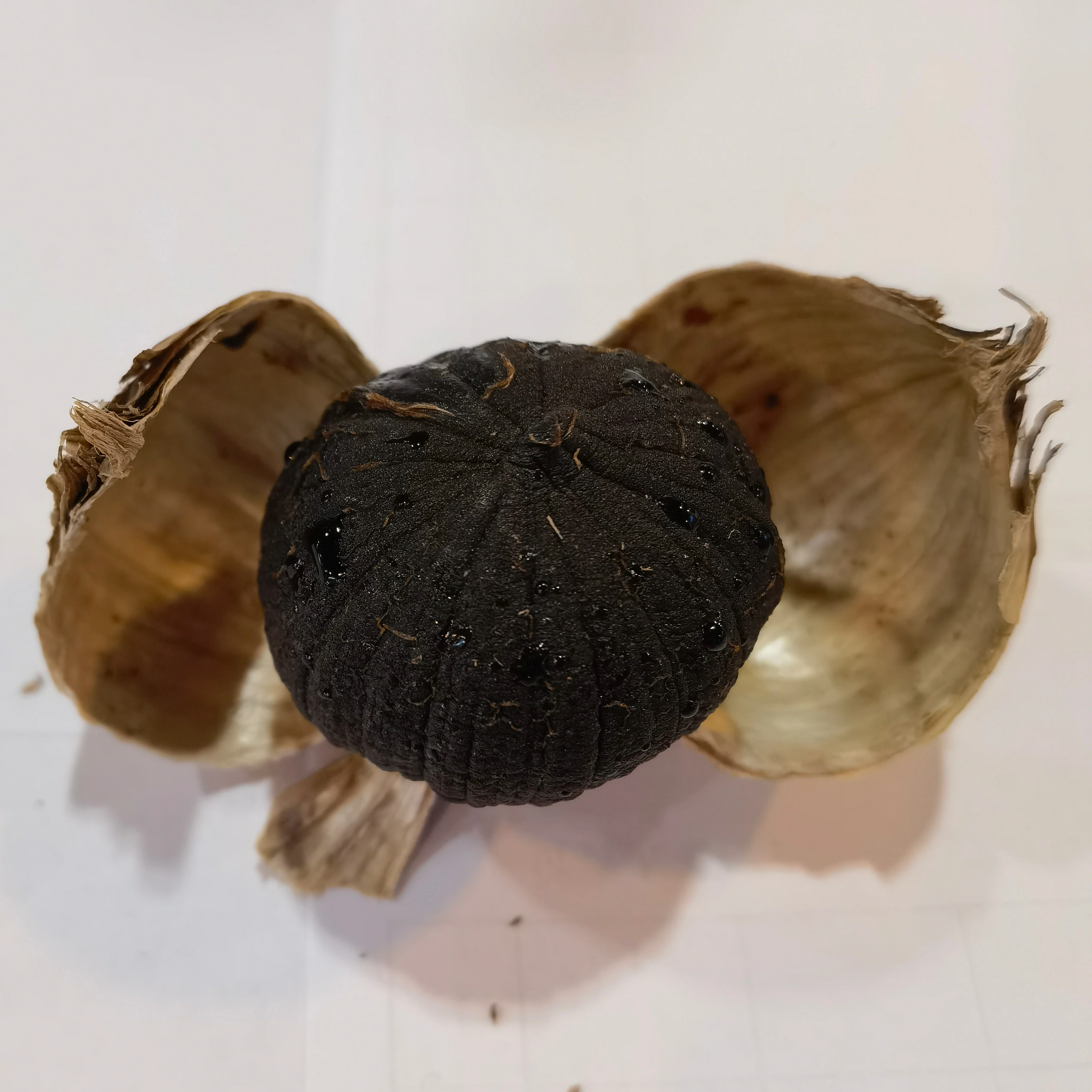 black garlic wholesale factory 456g