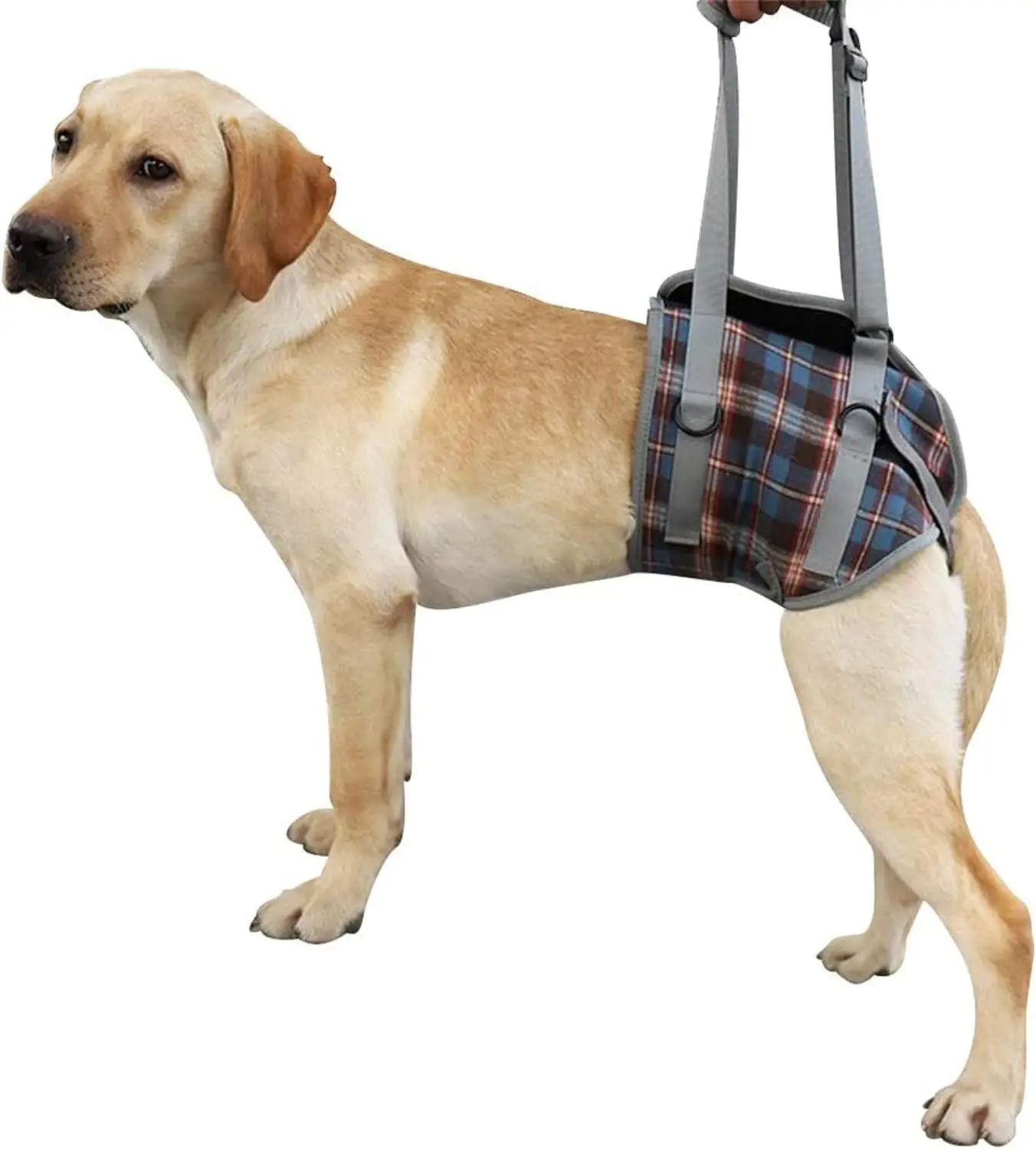 High Quality Comfortable Hind Leg Disability Omni-directional Auxiliary Good Helper Dog Lift Harness