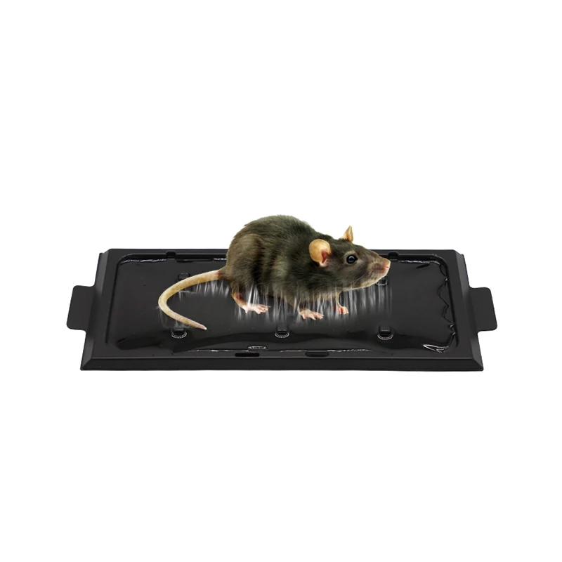 Strong pest control glue board black plastic rat mouse glue trap