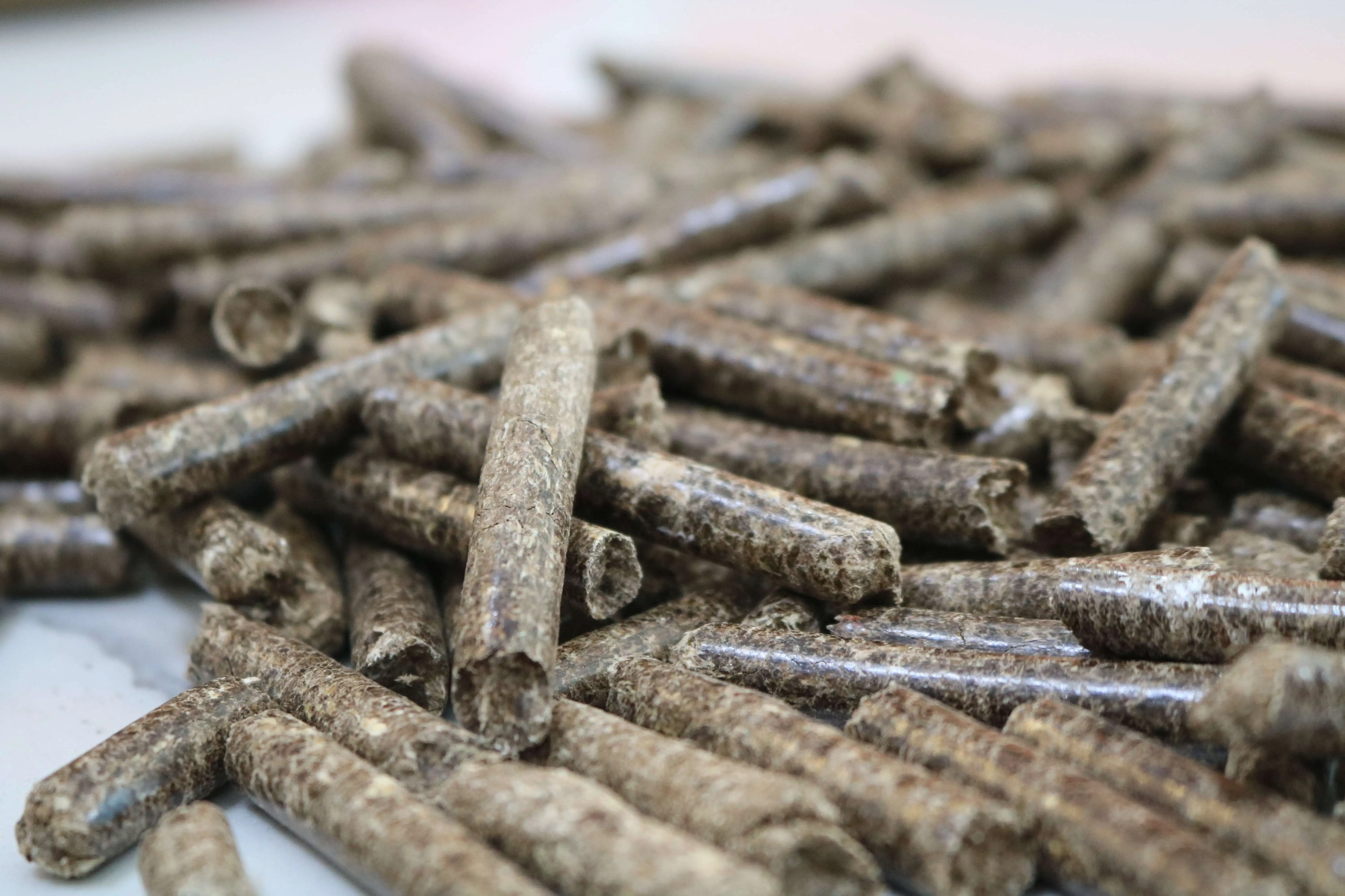 Pine & Fir Wood Pellets Approved Good Quality Wood Pellets Hot Selling Energy Saving  Vietnam Manufacturer