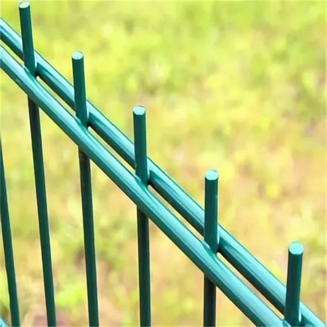 Hot Sale Powder Coated Metal Double Rod Mat Grid Fence Twin Bar Wire Welded Mesh 868/656/545 Fence/garden Fence Metal