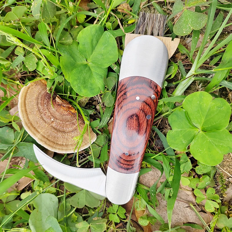 Hot selling wood handle Truffle knife camping folding mushroom knife with brush
