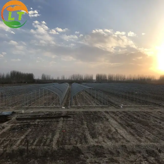 Chinese greenhouse with compression resistant, stainless, can be customized greenhouse frame