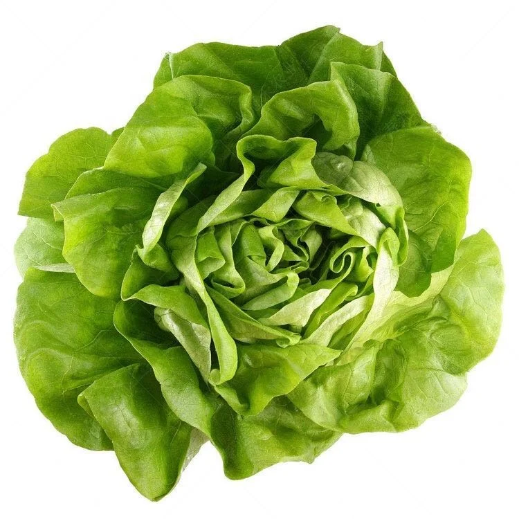 Китайские высококачественные гибридные семена салата F1 с высокой урожайностью