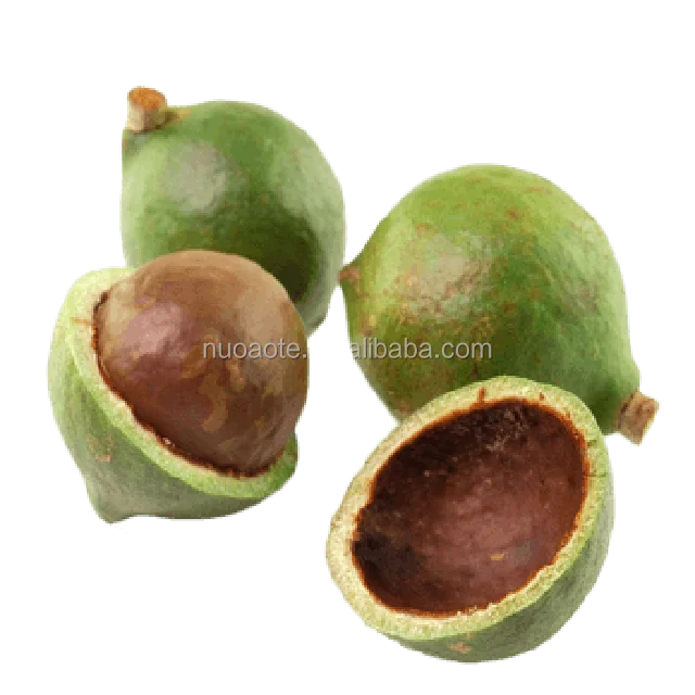  Конкурентоспособная цена Noci Di Macadamia из Китая