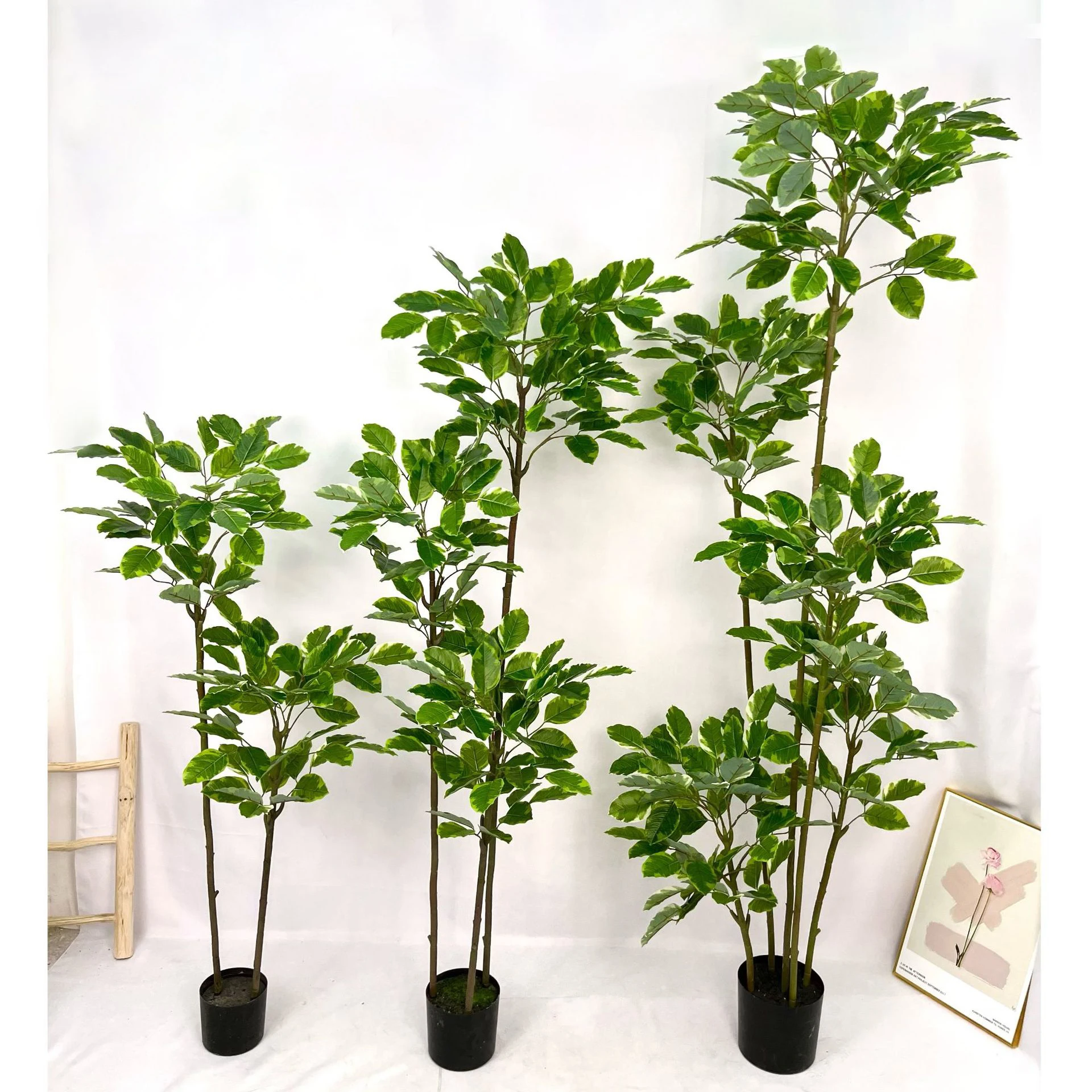 Premium Artificial Plants for Garden Home Ornaments Evergreen Outdoor Ficus Altissima For Sale -149