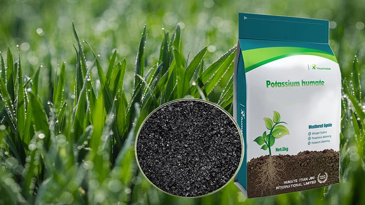 Potassium Humate Flakes.jpg