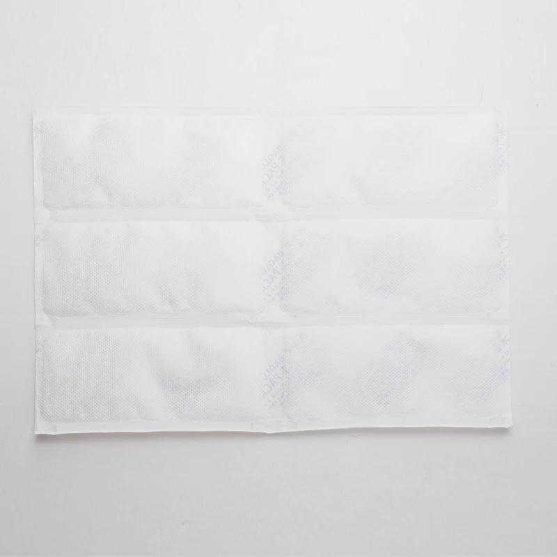 BSG Packs Cooler Bag Boxes Reusable For Cold Fresh Food Shipping Gel Ice Pack Food Grade Dry Ice Pack