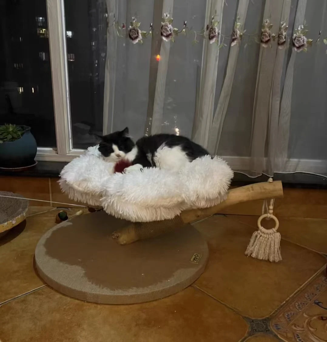 Luxury Wood White Large Cat Condo Tree With Flower Sleeping Bed Sisal Posts Perches Real Wood Branch