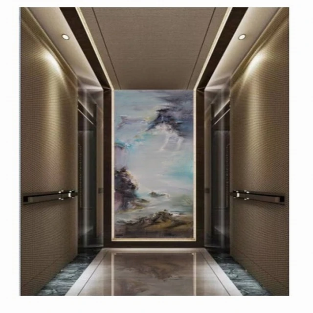 
Luxury decorative passenger elevator 