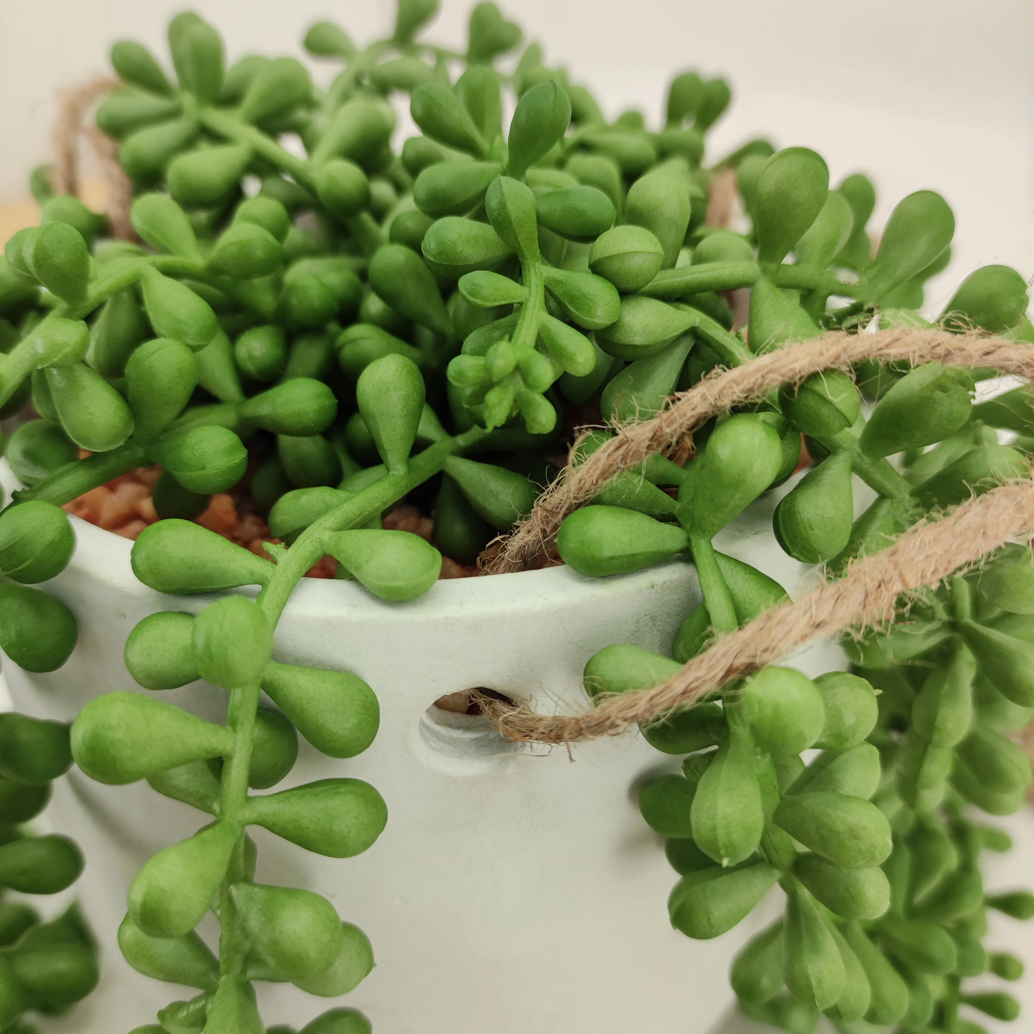 Home Indoor Decor Faux Green Planter  White Ceramic Potted Artificial Hanging Succulent String Of  Pearls Plants