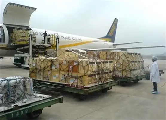 DDP door-to-door agent service from Hong Kong to Yaound e, Cameroon