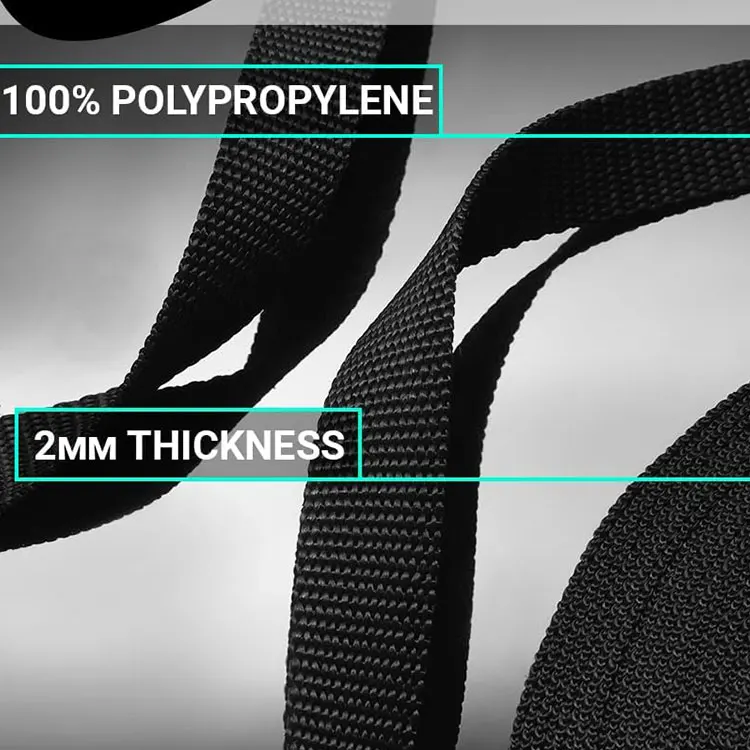 Wholesale Price Flat Flat Polyester Webbing Belt Strap For Seatbelt