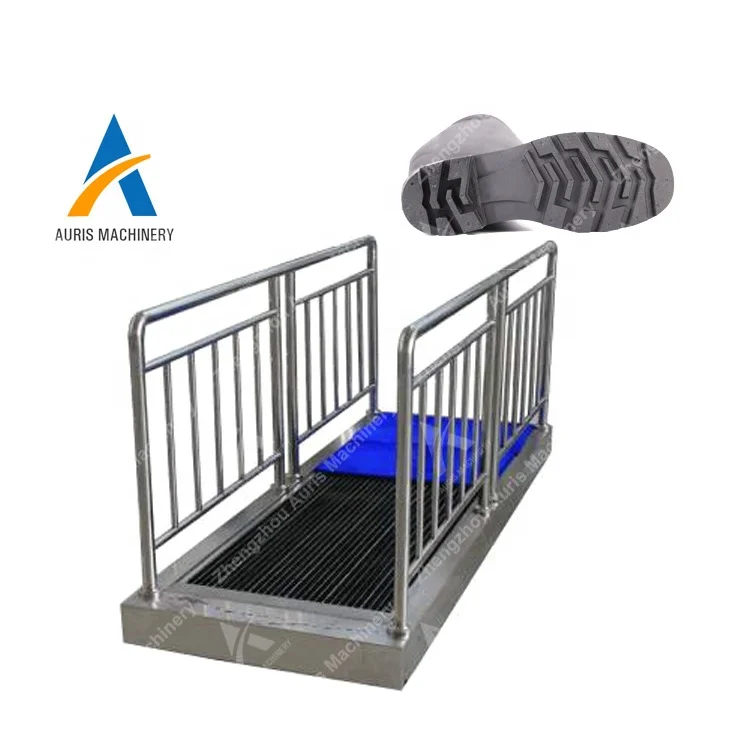 
Stainless steel dust-free plant room use shoes sole cleaner washer machine 