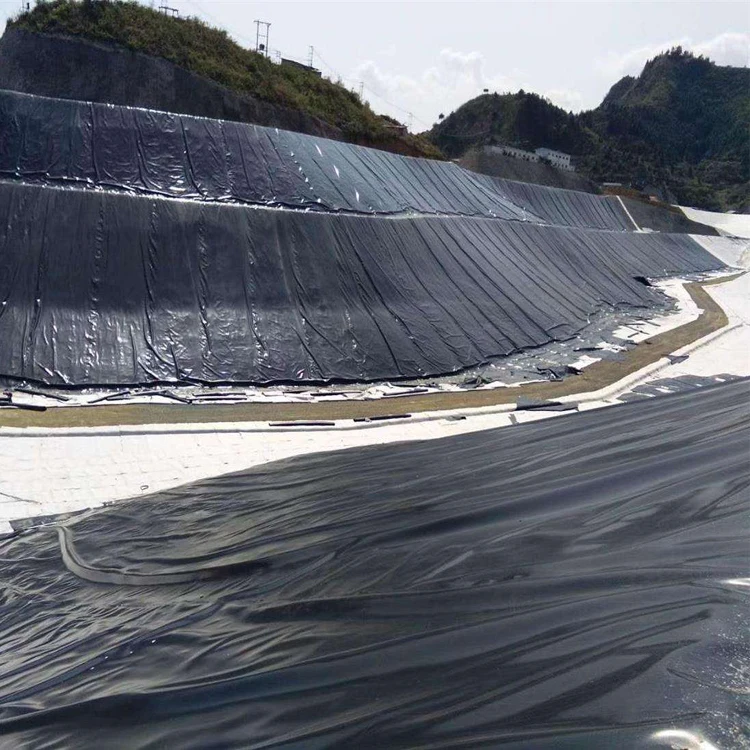 China supplier high quality HDPE geomembrane sheet hdpe pond liner