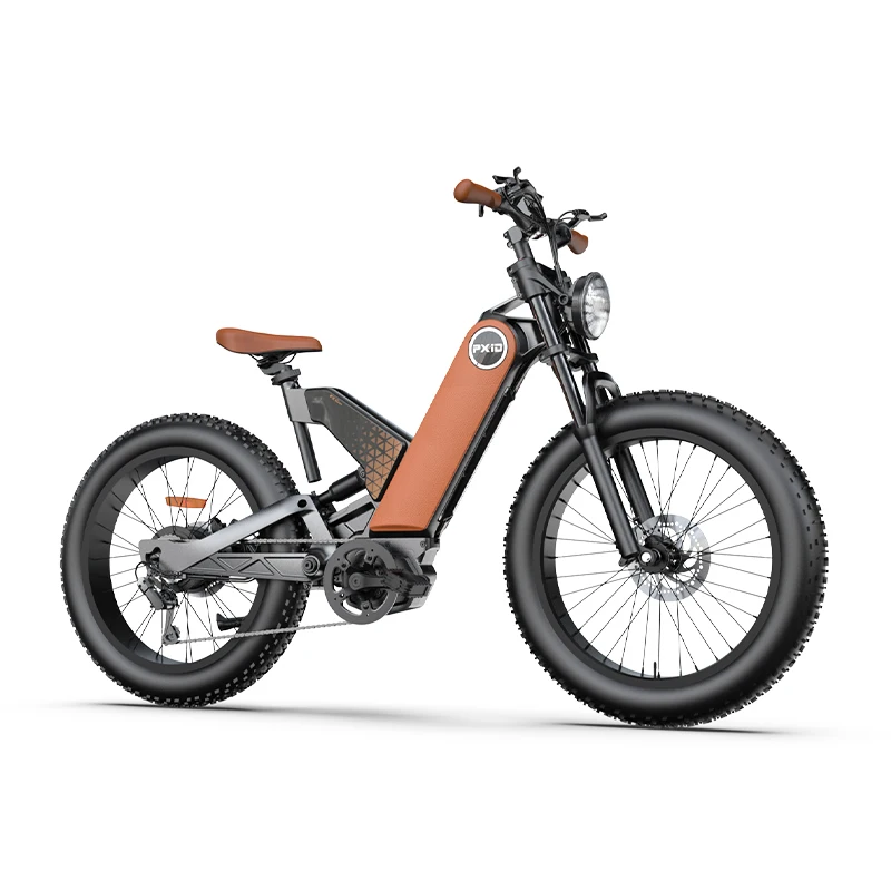 Most Attractive Fat Bike Beach Cruiser Ebike Magnesium Alloy Frame big tires Electric mountain Bike 750w 48v e bike for adults