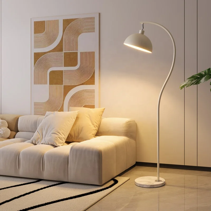 Fishing lamp, floor lamp, living room sofa, ambient light, storage rack, integrated practical decorative lighting