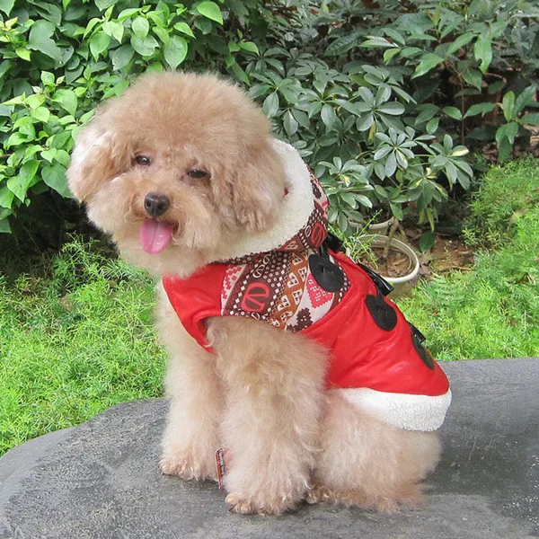 feipet pet dog wear for cold season