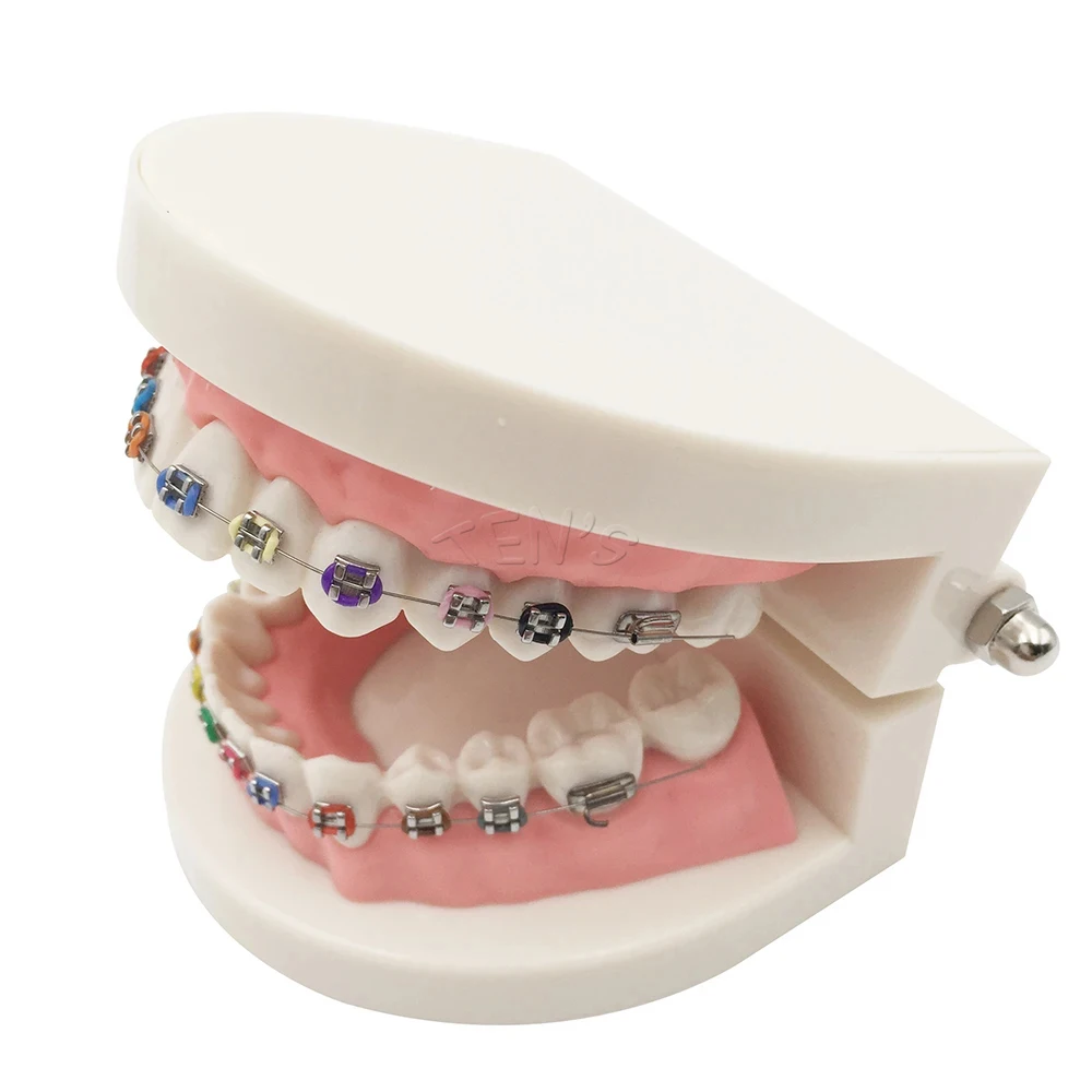 New Arrival Dental Equipments Brackets Products Odontologia Fashion Braces for Teeth